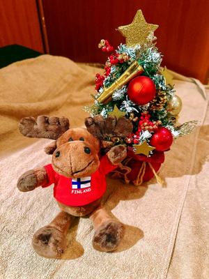 森川すみれの写メ日記|ローテンブルク 吉原高級店ソープ