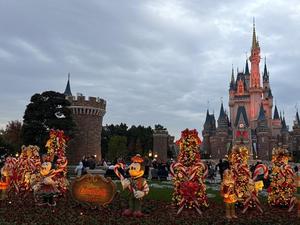 森川すみれの写メ日記｜ローテンブルク 吉原高級店ソープ