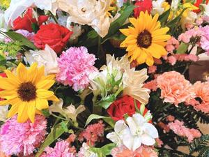 森川すみれの写メ日記｜ローテンブルク 吉原高級店ソープ