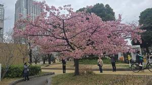 相楽ひとみの写メ日記｜ローテンブルク 吉原高級店ソープ