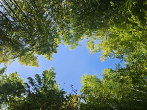 鳴沢ひろこの写メ日記｜ローテンブルク 吉原高級店ソープ