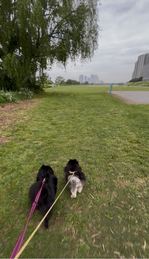 藤谷香文の写メ日記｜ローテンブルク 吉原高級店ソープ