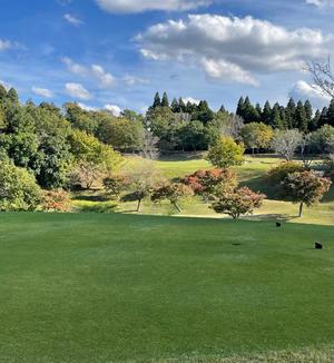 一之瀬 茜の写メ日記｜ローテンブルク 吉原高級店ソープ