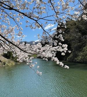 一之瀬 茜の写メ日記｜ローテンブルク 吉原高級店ソープ