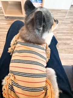 さゆりの写メ日記｜ローテンブルク 吉原高級店ソープ