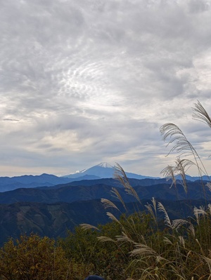 さゆりの写メ日記｜ローテンブルク 吉原高級店ソープ