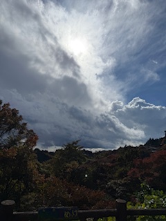 さゆりの写メ日記｜ローテンブルク 吉原高級店ソープ