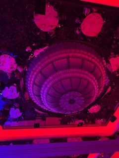 さゆりの写メ日記｜ローテンブルク 吉原高級店ソープ