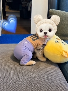さゆりの写メ日記｜ローテンブルク 吉原高級店ソープ