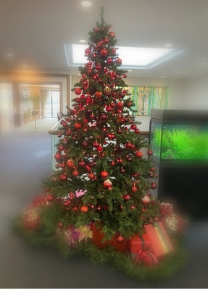 紀香の写メ日記｜ローテンブルク 吉原高級店ソープ