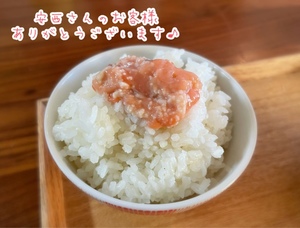 紀香の写メ日記｜ローテンブルク 吉原高級店ソープ