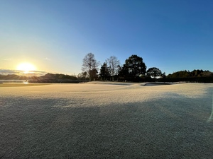 紀香の写メ日記｜ローテンブルク 吉原高級店ソープ
