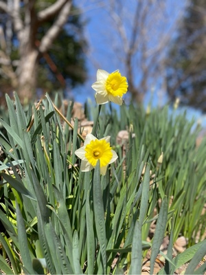 紀香の写メ日記｜ローテンブルク 吉原高級店ソープ