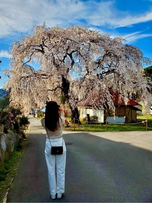 紀香の写メ日記｜ローテンブルク 吉原高級店ソープ