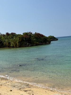 安西めぐみの写メ日記｜ローテンブルク 吉原高級店ソープ