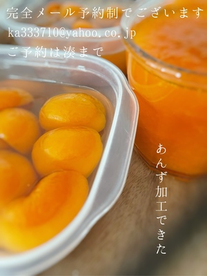 湊 かすみの写メ日記｜ローテンブルク 吉原高級店ソープ