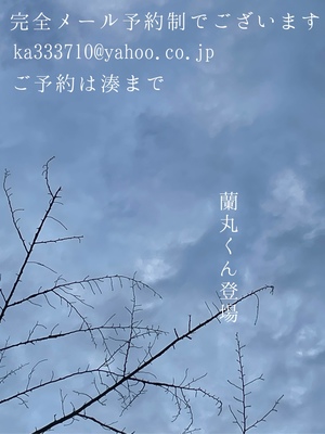 湊 かすみの写メ日記｜ローテンブルク 吉原高級店ソープ