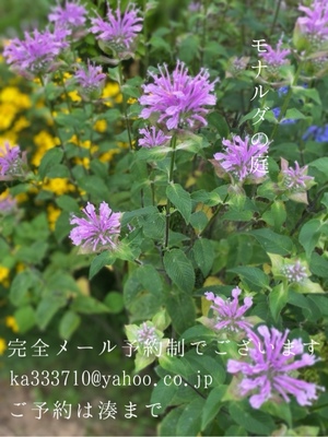 湊 かすみの写メ日記｜ローテンブルク 吉原高級店ソープ