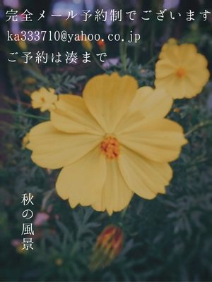 湊 かすみの写メ日記｜ローテンブルク 吉原高級店ソープ