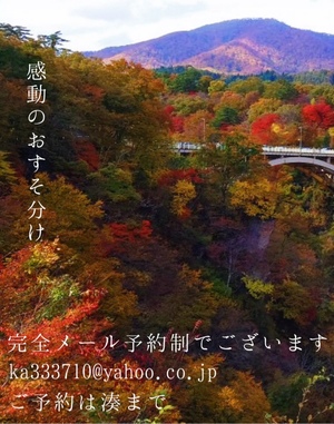 湊 かすみの写メ日記｜ローテンブルク 吉原高級店ソープ