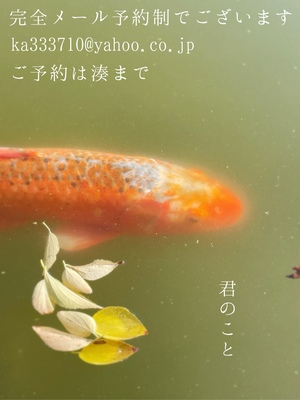 湊 かすみの写メ日記｜ローテンブルク 吉原高級店ソープ