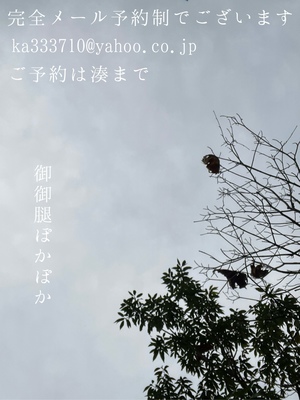 湊 かすみの写メ日記｜ローテンブルク 吉原高級店ソープ