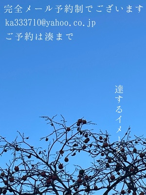 湊 かすみの写メ日記｜ローテンブルク 吉原高級店ソープ