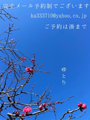 湊 かすみの写メ日記｜ローテンブルク 吉原高級店ソープ