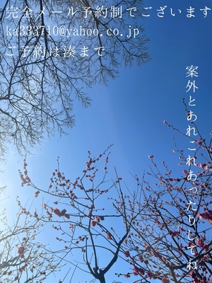 湊 かすみの写メ日記｜ローテンブルク 吉原高級店ソープ