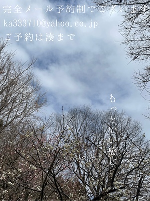 湊 かすみの写メ日記｜ローテンブルク 吉原高級店ソープ