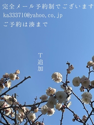 湊 かすみの写メ日記｜ローテンブルク 吉原高級店ソープ