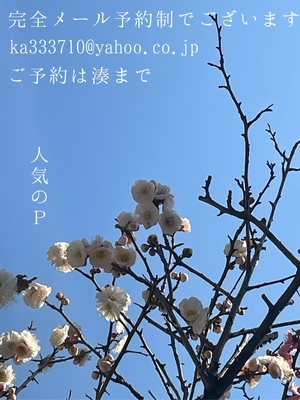 湊 かすみの写メ日記｜ローテンブルク 吉原高級店ソープ