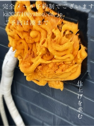 湊 かすみの写メ日記｜ローテンブルク 吉原高級店ソープ