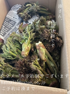 湊 かすみの写メ日記｜ローテンブルク 吉原高級店ソープ