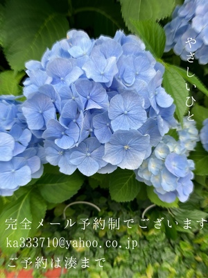 湊 かすみの写メ日記｜ローテンブルク 吉原高級店ソープ