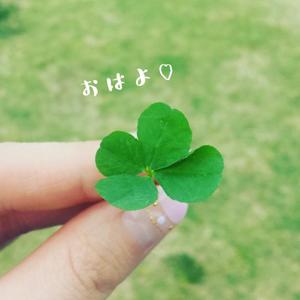 椎名由貴の写メ日記｜ローテンブルク 吉原高級店ソープ