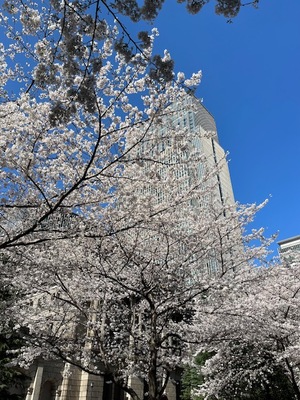 里中あいりの写メ日記｜ローテンブルク 吉原高級店ソープ