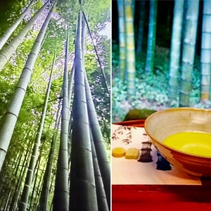 里中あいりの写メ日記｜ローテンブルク 吉原高級店ソープ