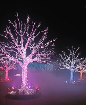 里中あいりの写メ日記｜ローテンブルク 吉原高級店ソープ