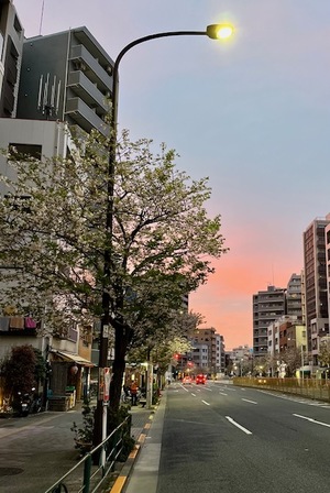 里中あいりの写メ日記｜ローテンブルク 吉原高級店ソープ