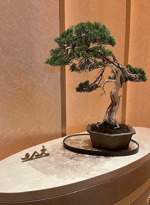 里中あいりの写メ日記｜ローテンブルク 吉原高級店ソープ