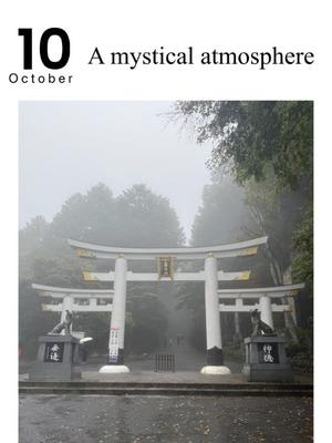 椿 こずえの写メ日記｜ローテンブルク 吉原高級店ソープ