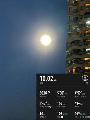 椿 こずえの写メ日記｜ローテンブルク 吉原高級店ソープ