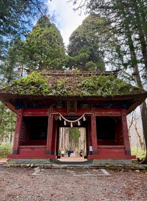 椿 こずえの写メ日記｜ローテンブルク 吉原高級店ソープ