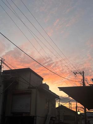 藤崎美奈の写メ日記｜ローテンブルク 吉原高級店ソープ