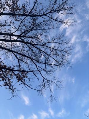 藤崎美奈の写メ日記｜ローテンブルク 吉原高級店ソープ