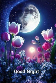 藤崎美奈の写メ日記|ローテンブルク 吉原高級店ソープ