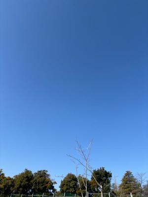 藤崎美奈の写メ日記｜ローテンブルク 吉原高級店ソープ