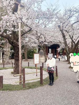 藤崎美奈の写メ日記｜ローテンブルク 吉原高級店ソープ