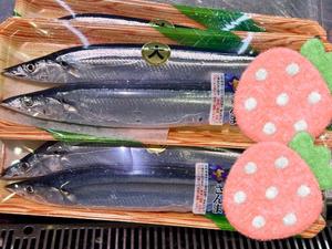 白瀬奈美の写メ日記｜ローテンブルク 吉原高級店ソープ